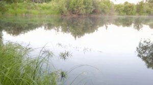 Все таки я нашел где окунь спрятался