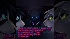 История Бича( Крошки.) Коты - Воители.