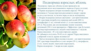 Удобрения для яблони. Когда и сколько вносить