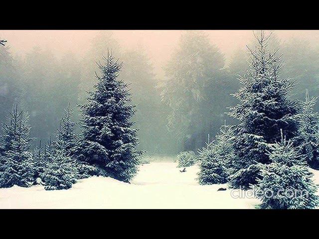 с понедельника на среду - НК