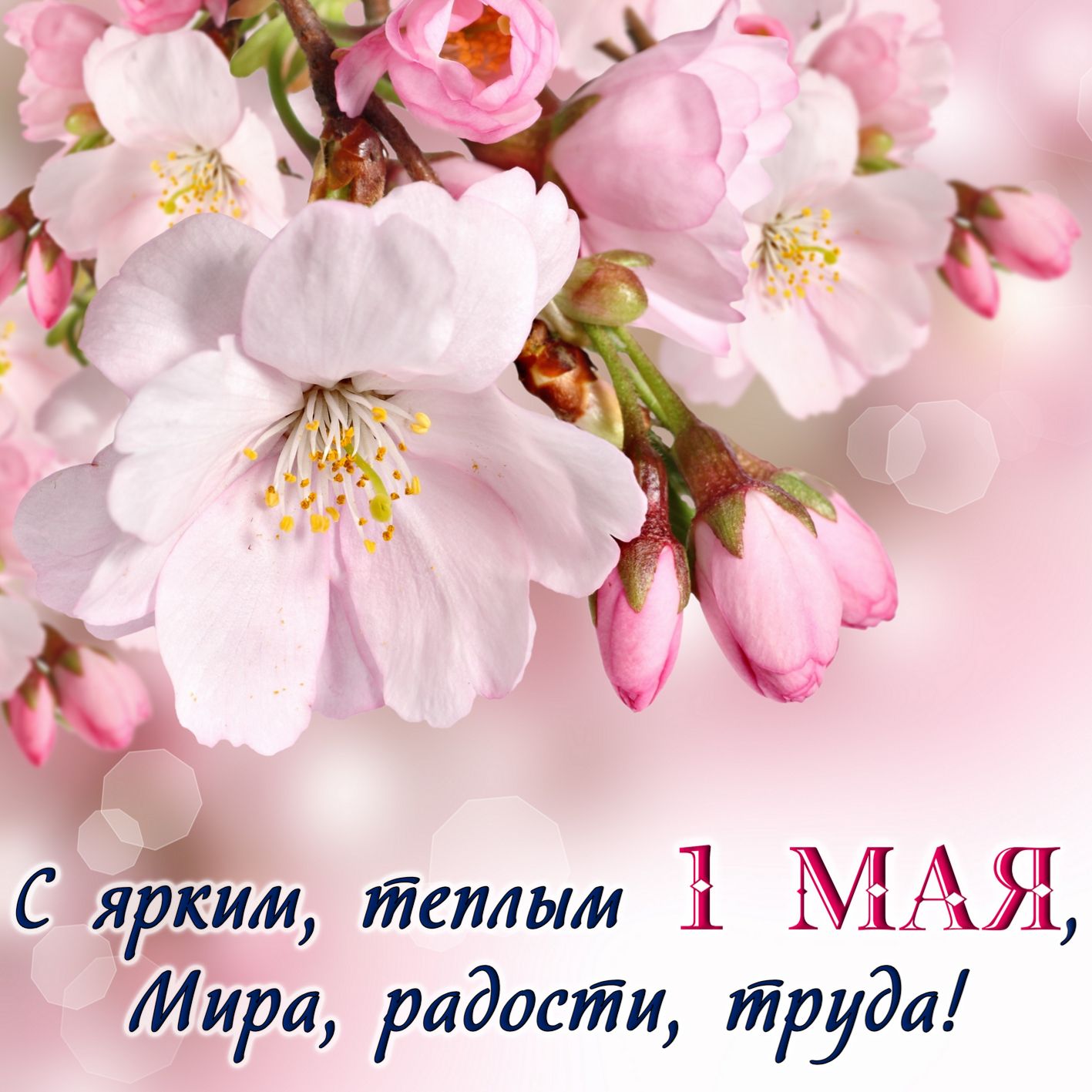 Поздравляем с прекрасным весенним праздником мира и труда!