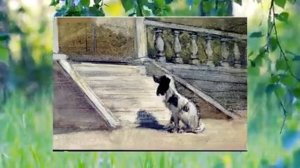 И. С. Тургенев "Муму"