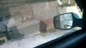 Шторки "Легатон" на калину,калину 2,гранту.Отзыв.