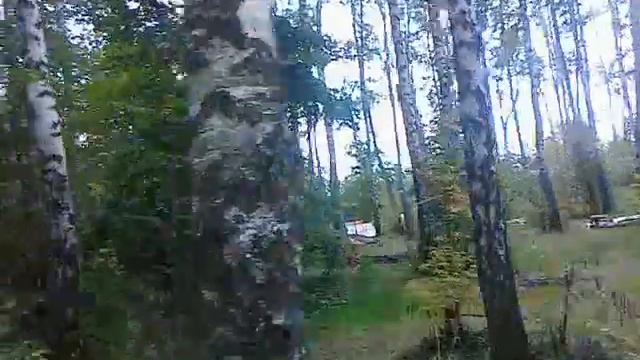 16.09.2012 лес в Щёлково где любил проводить время в 2002-03 годах смотреть онлайн