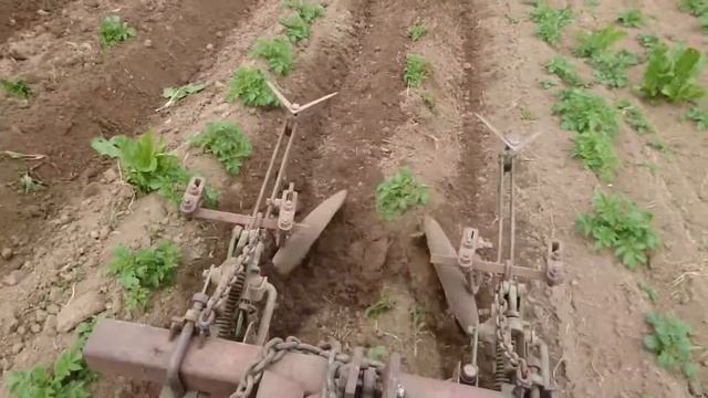 Окучивание картофеля японским минитрактором Yanmar ke-40. Окучевание картофеля — легко!!!
