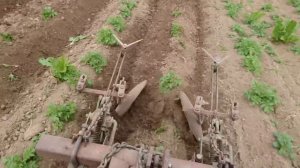 Окучивание картофеля японским минитрактором Yanmar ke-40. Окучевание картофеля — легко!!!