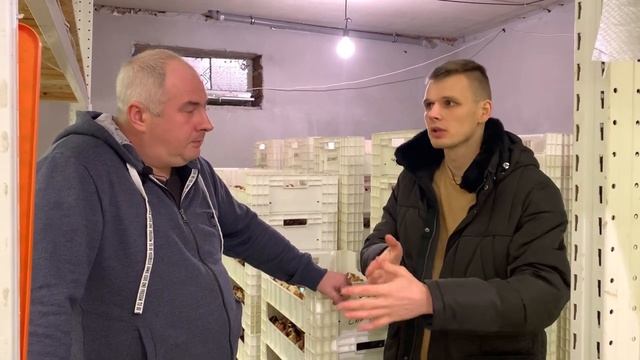 Выгонка тюльпанов. Доход с цветочного бизнеса.
