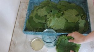 Самый  простой способ заготовить виноградные листья на зиму