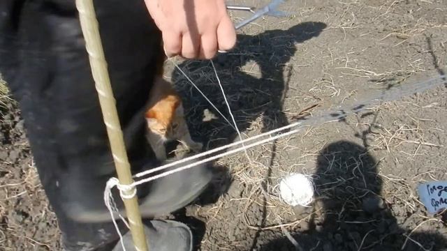 Как сажать виноград, яблоню,грушу,персик,черешню ! смотреть онлайн