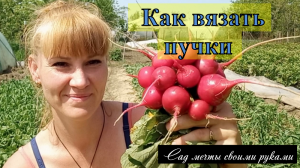 Как вязать пучки. Редис на продажу.Тепличный бизнес с нуля.