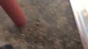 Электроножницы по металлу