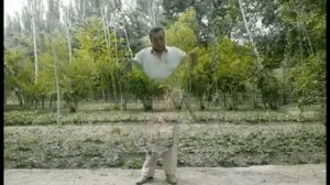 Плащ невидимка уже реально ??