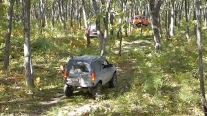 РЕНО ДАСТЕР на бездорожье лесными тропами