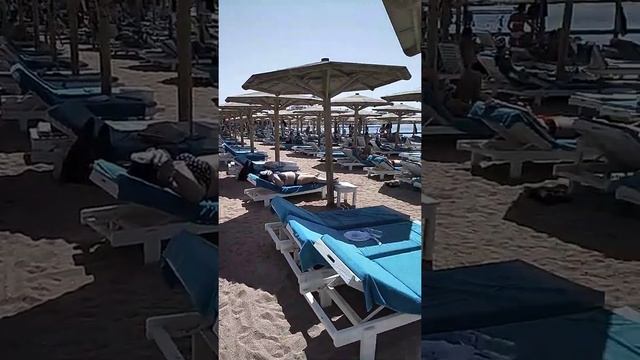 Пляж отелей Novotel palm и Novotel beach 5* Шарм.... смотреть онлайн