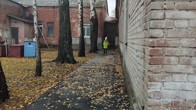 осень,дождь