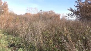 Где искать МЕТАЛЛ?расказываю и показываю.