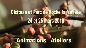 Le printemps des fleurs Roche la Molière  24 et 25 mars 2018