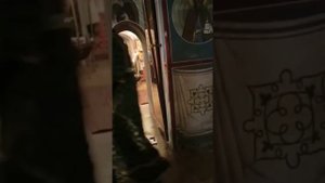 Мощи Святого Алексея Мечева