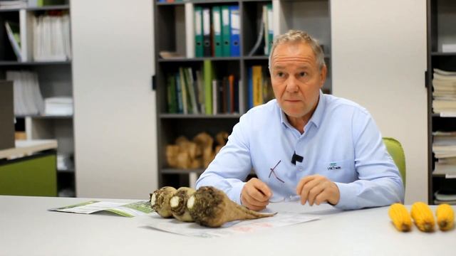 Инспекция производственных участков новых гибридов сахарной свеклы от SESVanderHave® смотреть онлайн