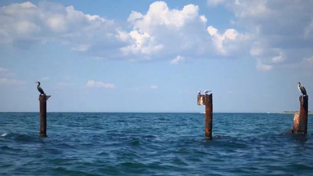 Автопутешествие на Кинбурнскую косу, или лучше бы поехали на Джарылгач смотреть онлайн