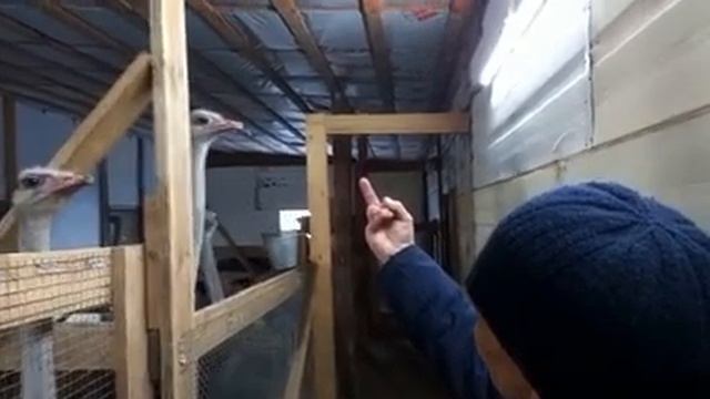 Задавил авторитетом😁