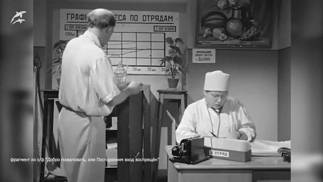 Взвешивание скатов и зебровой акулы смотреть онлайн