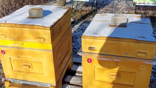 7 января. -20 или как зимуют Кордован и Карниола смотреть онлайн