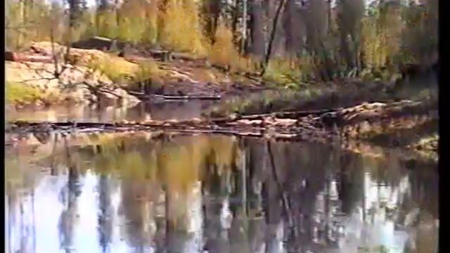1995_Мегион_МНГ_ ЦДНГ-5_ ликвидация последствий аварии