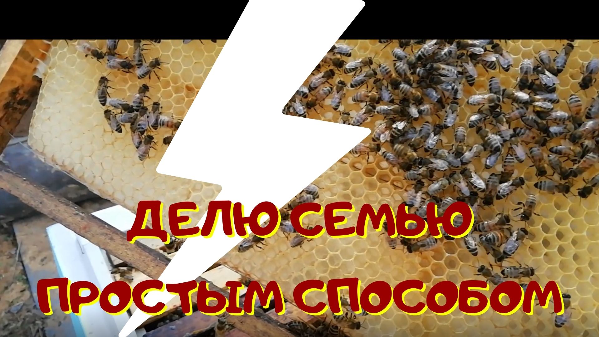 Безматочный отводок. - Как быстро расширить пасеку. смотреть онлайн