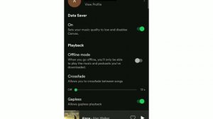 How to Save Spotify Songs to SD Card | 2020 | Any Phone