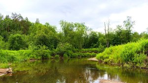 Осторожные голавли и хариусы малой реки