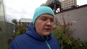 Проволочник. Что делать?