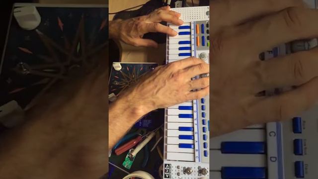 Slo-Mo Mantra boxing Circuit bent Winfun toy Keyboard by Psychiceyeclix смотреть онлайн