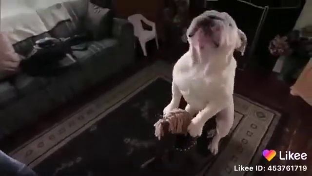 Эй мама не будет кирил я не знаю как вот так выглядит не будет кирил как смотреть онлайн