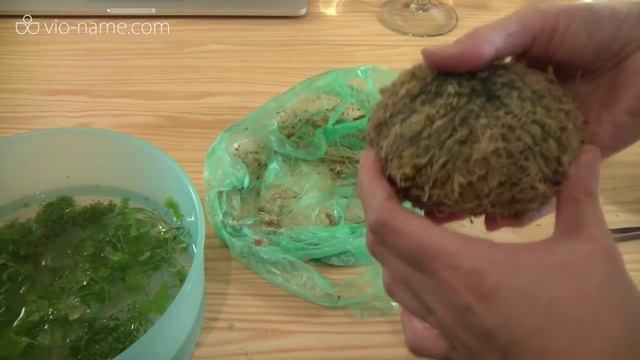 Ваби-куса своими руками смотреть онлайн