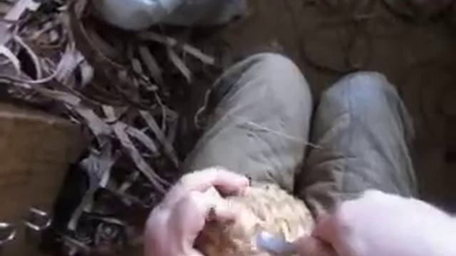 мочало +береста копия смотреть онлайн