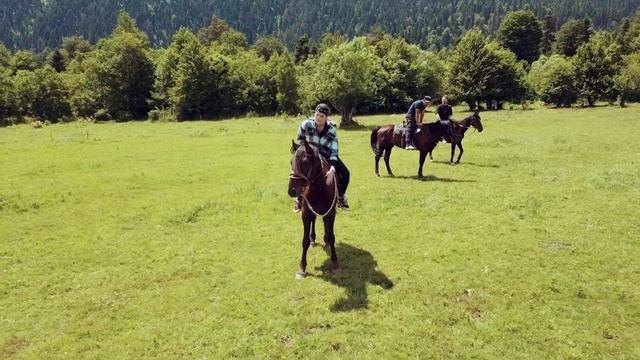 База отдыха в Архызе Чинара | Помощник Путешественника 2022 смотреть онлайн