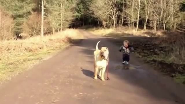 Мир подождет, когда есть верный друг смотреть онлайн