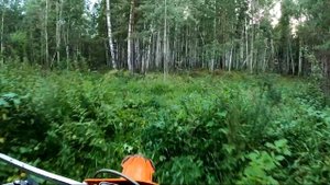 Эндуро  Бединка  Ертарский  Progasi 450