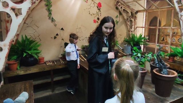 Дверь в Хогвартс | интерактивная выставка смотреть онлайн