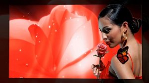 Любимая Моя, Супер Песня о Любви  -  Николай Берег  |  ПОСЛУШАЙТЕ !!!