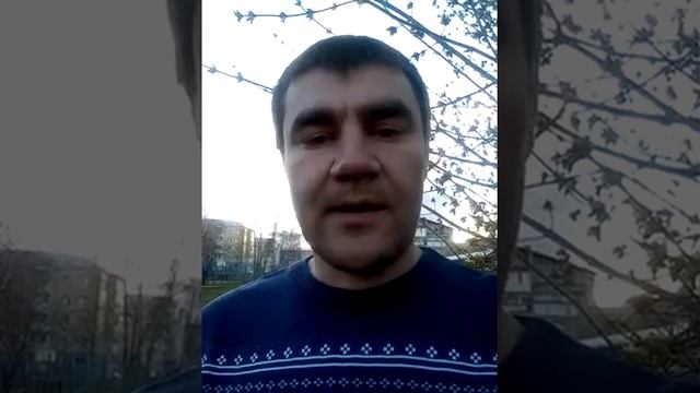 Сортировка круглого леса на производстве смотреть онлайн