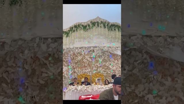 девочка очень красиво танцует  Памирский танец