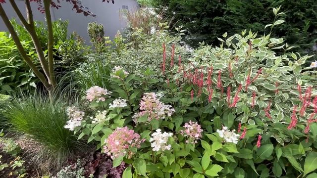 Нашла идеальную линию газона☘️Вычесываю и удобряю газон☘️ заполняю швы в бордюрах☘️ новые планы смотреть онлайн