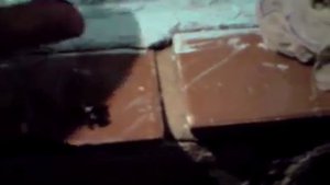 Жук Носорог (Писк Детёныша)