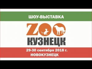 Отчетный ролик выставки "ZOOКузнецк"