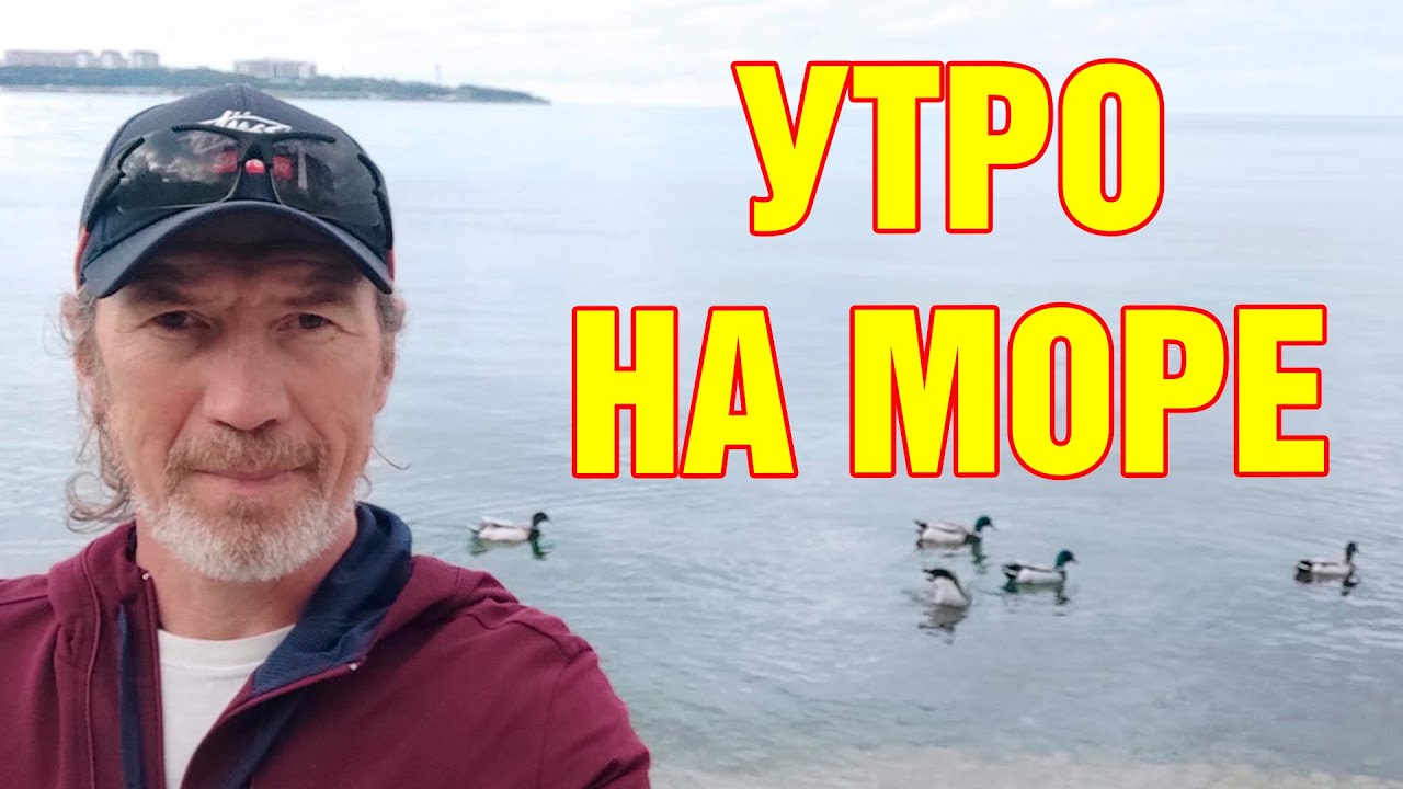 Утро на море. Дикий пляж в центре Геленджика. Геленджикские утки