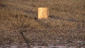 Пристрелка оптики в 2 патрона-50м