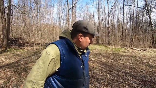 Остерегайтесь змей! Спасение животных смотреть онлайн