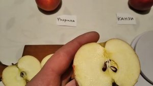 Канзи и Флорина (любителям сладких яблок).